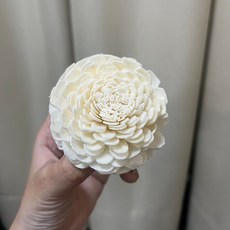 S-C 索拉花 6CM 通草花 擴香花 太陽玫瑰 太陽菊 台灣現貨, 00原色