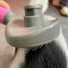 자동 강아지 털제거빗 고양이
