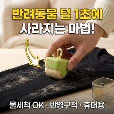 트리플령 휴대용 미니돌돌이 반려동물 털제거기 옷 먼지 제거기, 1개, 그린