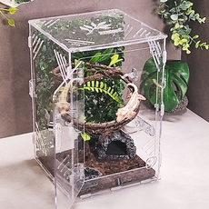 에버리움 크레스티드 게코 도마뱀 아크릴 사육장 세트 - 소형 20x20x30cm, 1세트, 기본투명