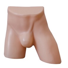shangren 섹시한 남성 속옷 Tush 몸통 형태 마네킹 반바지 매장 디스플레이 누드, PE 플라스틱, 누드 컬러, .