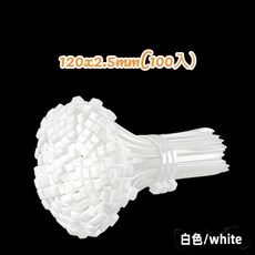 尼龍束帶 水電工束線帶 電線收納 延長線收納 理線 固定帶, 1個, 120x2.5mm(100入)白