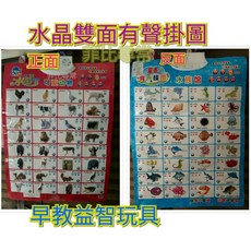 水晶雙面早教有聲掛圖 寶寶認知啟蒙發聲點讀掛圖 中英文學習 兒童早教益智玩具, ABC字母/學兒歌