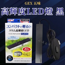 日本 GEX 五味 高輝度 LED燈 USB(不含豆腐頭) 明亮 纖薄 高亮度 水族燈, 1個, 黑色