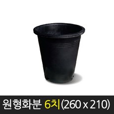 순희농장 원형화분 흑색 6치(260 x 210) 고무 분갈이