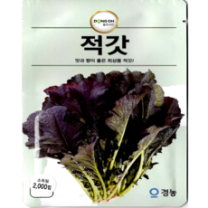 동오시드 적갓 씨앗 적색 갓 김장용 쌈채소 갓씨앗 재배용 2000립, 1개