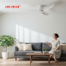 일광표 에어플로 실링팬 천정 선풍기 무소음 52인치, 화이트 52 기본