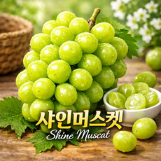 샤인머스켓 가정용 실속형 신선365, 1박스, 400g~500g