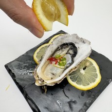 통영 굴 석화굴 각굴, 1개, 하프셀(반각굴)30미내외