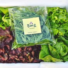 유러피안샐러드와 와일드루꼴라 세트 700~800g, 100g, 1개, 와일드 루꼴라