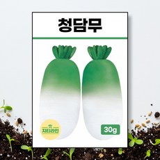 청담무 씨앗 종자 30g, 1개