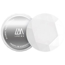 Larmi 樂米 LMT01 防丟定位器 寵物追蹤器 AirTag 貓狗機車車輛兒童老人定位