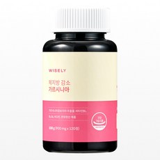 와이즐리 체지방 감소 다이어트 가르시니아, 120정, 1개
