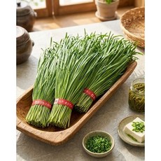 동명팜 간의채소 국내산 부추 초벌부추, 500g