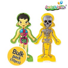 제삼오스토어 인체 10인 만들기체험 꾸미기놀이 미술만들기 벌룬제작