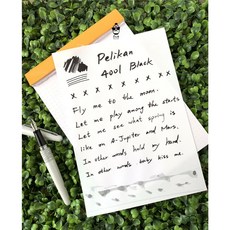 Pelikan 百利金 4001系列 鋼筆墨水, 1個, 黑,5ml塑膠分裝瓶