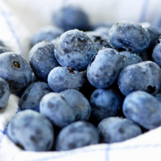 [항공직송] 당도보장 프리미엄 생 블루베리, 1세트, 특대과(18-20mm)4팩