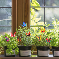 화분픽 나비 꽂이 정원 마당 꾸미기 1P, 8cm