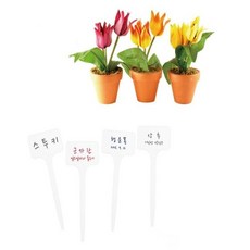 식집사 꽂이형 화분 꽃 이름표 식물 라벨 네임택 20개입 화단팻말 수목명찰 식물이름표꽂이, 없음