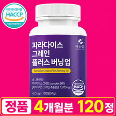 버들랩 파라다이스 그레인 플러스 버닝업, 1개, 120정