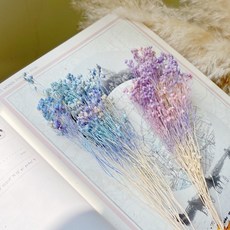 乾燥花 萬花。瞳 不凋花素材 義大利進口金雀木滿天星(浪漫馬林糖) 乾燥花束/婚禮佈置/手作素材/攝影道具/新娘捧花, 馬林糖（圖一左）職業裝20g上下