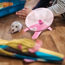 햄스터 운동용 펫 사일런트 러닝 디스크 동물 조깅 스포츠 휠 오락용품 색상 랜덤, 1개, 기본