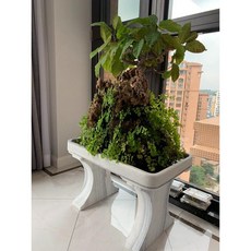 도자기 수반 화분 대리석 인테리어 진열대 분재 그릇, A. 사각형 40x20x6, 결석, 큰