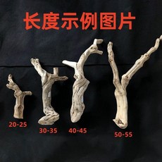 爬寵蟲造景藤木 霸王樹棲裝飾沉枯 鬃獅蜥蜴睫角豹紋肥尾守宮曬背臺, 1個, 純天然霸王木【20-25厘米】隨機發貨