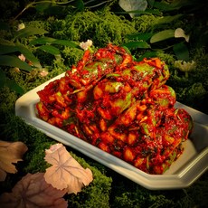 채선비 젓갈없는 비건 채식 오이소박이 오이김치, 1개, 3kg