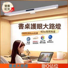 紅光增益壁掛燈護眼學生學習極光大路燈書桌閱讀燈寫作業檯燈家用, 1個, 護眼燈SD1-常規:如圖