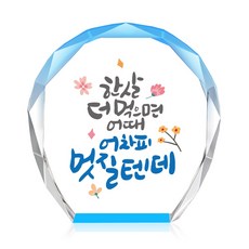 [캘리] 컬러 미니 크리스탈 상패 부모님 어버이날 생신 퇴직 감사패 선물 어차피 멋질텐데 CS-103-14-T, 14.어차피 멋질텐데