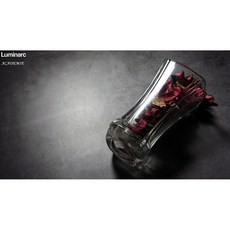 法國樂美雅 Luminarc ACADEMIE 玻璃花瓶 17cm