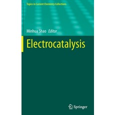 Electrocatalysis Hardcover, Springer