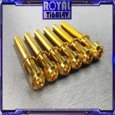 ROYAL 鈦合金螺絲 M8駐車架螺絲組 64正鈦螺絲 CNC鍛造內梅花 內星型螺絲, 1個, 帝王黑,左右螺絲不含螺母