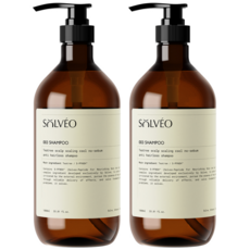 솔브이오 티트리 두피 스케일링 쿨 지성 탈모 샴푸 시트러스향, 1L, 2개