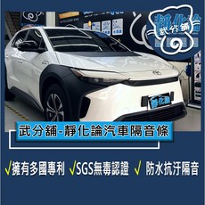武分舖 靜化論汽車隔音條 Toyota BZ4X 專用 A柱 B柱 C柱 崁入式氣密 防水 防塵 靜音, 1個, B柱+C柱