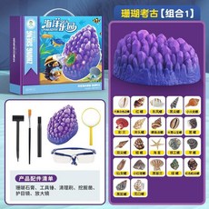 ZHONG SHENG 珊瑚考古挖掘兒童手工盲盒, 1個, 珊瑚考古彩盒版（含22個海螺貝殼）