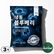 당도 높은 무첨가 100% 냉동블루베리, 3개, 900g