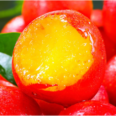 [한정특가] 제철맞은 고당도 햇자두 후무사 추희 대석자두, 1개, 1kg