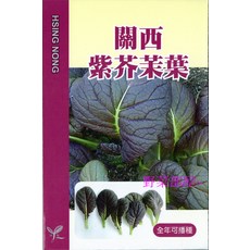 關西紫芥茉菜種子 全年可播種 花和莖葉皆可食用, 1包