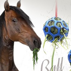 모든거샵 말 건초 볼 사료공 걸이형건초통 간식볼 가축건초먹이통, 1개