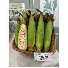 野菜部屋 白Q甜827 甜糯玉米種子 高產大穗 口感較糯, 1包