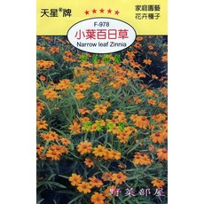 天星牌 小葉百日草種子 (Narrow leaf Zinnia) - 穗耕種苗野菜部屋 Y78, 1包