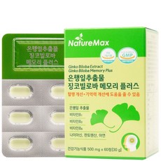 네이처맥스 은행잎추출물 징코빌로바 메모리 플러스 500mg x 60정, 60회분, 1개