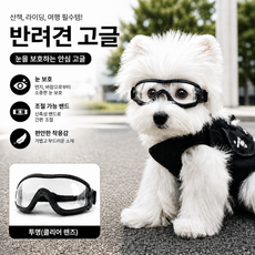 반려견 고글 선글라스 방풍 강아지 안경 소형견 중형견 외출 보호용 애견 패션 아이템, 1개, 블랙 프레임 투명 렌즈