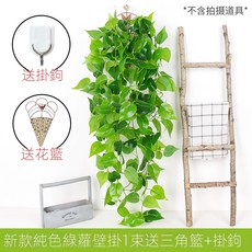 仿真綠蘿客廳掛墻綠植 壁掛植物裝飾 垂吊假花藤 條室內藤蔓吊蘭吊籃, 新款純色綠蘿吊蘭1束(送三角籃）, 1個