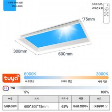 LED 천장등 패널 플라스틱 소재 욕실용 초슬림 스마트 조명, 11_태양형300x600스마트도장