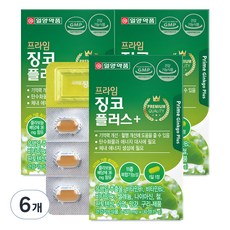 일양약품 프라임 징코 플러스, 30정, 6개