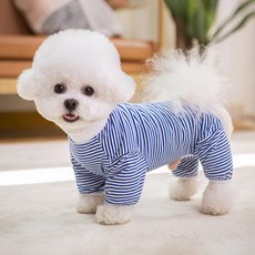 투니스 반려동물 스트라이프 배색 순면 올인원, 1개, 블루
