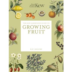(영문도서)The Kew Gardener's Guide to Growing Fruit: Paperback Reissue Paperback, Frances Lincoln, English, 9781805700333